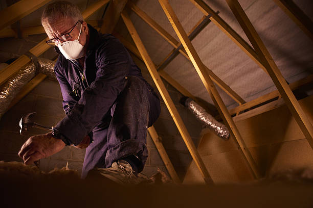 Best Professional Insulation Contractor  in Quincy, MA